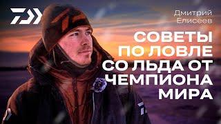 10 СОВЕТОВ ОТ ЧЕМПИОНА / ДМИТРИЙ ЕЛИСЕЕВ  / НОВОГОДНИЙ КОНКУРС