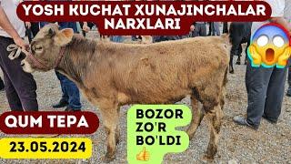 Qum tepa Yosh kuchat xunajinchalar narxlari!