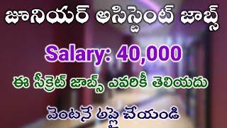 ఐఐటి కాలేజీలో జూనియర్ అసిస్టెంట్ జాబ్స్ | IIT Junior assistant job | All job's station |Latest jobs