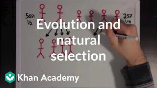 Evolution and natural selection | Biomolecules | MCAT | Khan Academy