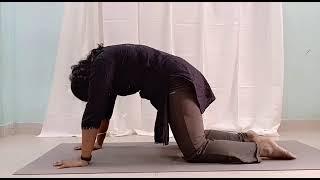 Chakravapasana  (Cat-Cow Pose)