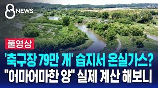 '축구장 79만 개' 습지서 온실가스?…배출 vs 흡수 계산하니 (풀영상) / SBS 8뉴스