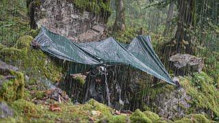 Surviving a Stormy Night Alone Among Sharp Rocks