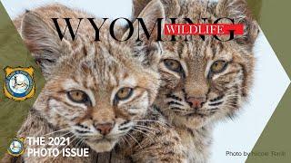 Wyoming Wildlife Photo Contest Winners - 2021