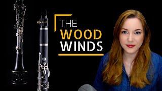 Instruments 102: Woodwinds