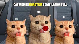 Cat Memes Road Trip Compilation Full 2 HOUR