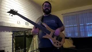 Tario 5 String Fretless Bass