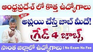 AP Collector Office Notification 2024|ap district wise jobs 2024|ap latest jobs 2024|ap contractjobs