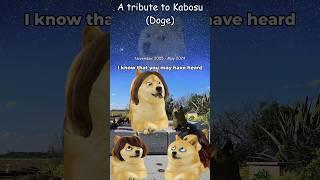 A tribute to Kabosu (Doge)