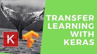 Transfer Learning with Keras & TensorFlow