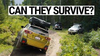 3 Offroad Subarus Take on the Trail...