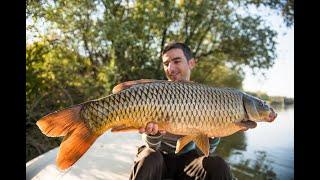 Ribolov šarana na reci Savi. Boat fishing for river carp.