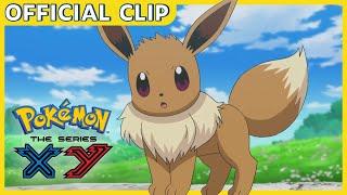 Dancing Eevee! | Pokémon the Series: XY Kalos Quest | Official Clip