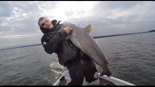 Giant Catfish While Crappie Fishing