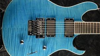 PRS SE Torero *Review*(My Favorite Floyd Rose Guitar)