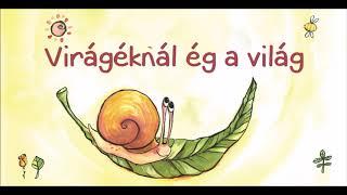 Virágéknál ég a világ - Kedvenc gyerekdalaink!