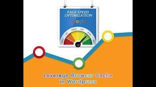 Fix Leverage Browser Cache in WordPress (2020)