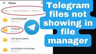 Telegram files not showing in file manager