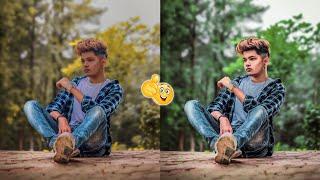 Green Tone Photo Editing | Lightroom Green Tone Preset | Lightroom Editing - Amar Editz