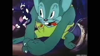 Catnip Capers 1940 (Full HD)– TerryToons