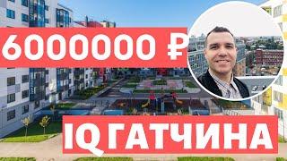 IQ Гатчина Новостройки в Гатчине Новостройки СПБ Ипотека обзор 2021 Ленстройтрест