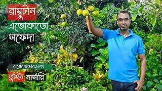 রামবুটান এভোকাডো সফেদা তুহিন নার্সারিতে | Rambutan Avocado Sapote | Gardening Bangladesh