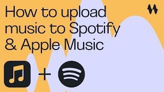 How to upload Music to Spotify & Apple Music