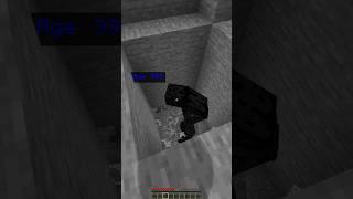 That tiny enderman Age 1 vs cursed enderman Age 999 in Minecraft (INSANE) #shorts #memes #memes