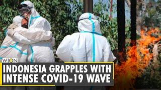 Indonesia records highest single-day spike in COVID-19 deaths | Coronavirus | Oxygen Crisis | WION