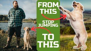 Teach Your Dog To Stop Jumping Up With This Simple Plan