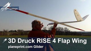 Planeprint 3D Druck 4 Flap Wing Glider RISE