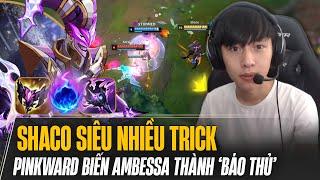 AMBESSA ĐÁNH CỰC HỔ BÁO KHI ĐỐI ĐẦU SHACO SIÊU NHIỀU TRICK CỦA PINKWARD VÀ CÁI KẾT BÁO ĐỒNG ĐỘI