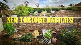 Building Our New Tortoise Habitats!