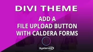 Divi Theme Contact Form With File Upload Button Using Caldera Forms 