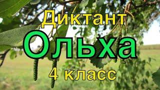 ВПР 2021 по русскому языку в 4 классе. Диктант с заданиями.