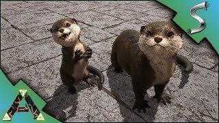 OTTER TAMING! WHERE TO FIND OTTERS ON RAGNAROK! OTTER BREEDING! - Ark: RAGNAROK [DLC Gameplay E53]