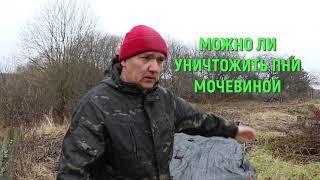 Год назад засыпал МОЧЕВИНОЙ пни деревьев. Показываю результат. ЖКВ проверка методов