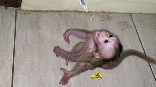 P1TY NEWBORN BABY MONKEY T4NTRUM