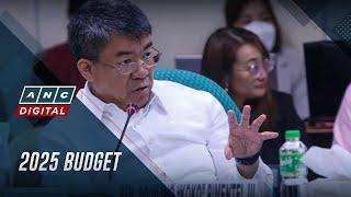 Lawmaker raises 3 possible constitutional issues in proposed 2025 budget | ANC