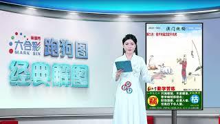 第004期 --【新澳门跑狗图】白小姐精准解图带你飞