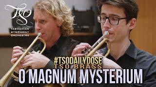 #TSODailyDose O Magnum Mysterium for Brass