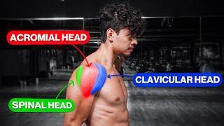 How To Build All 3 Heads Of The Shoulders | Deltoid Anatomy