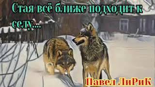 Волчья стая (автор Павел ЛиРиК)