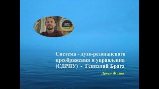 Духо-резонансные настройки: Свето и цвето преображение человека с Геннадием Брагой. ч.2. 09.04.24г.