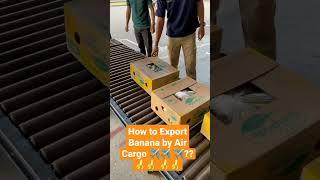 How to Export Banana  by Air Cargo,️️ ? | Export by Air| by Harsh Dhawan #banana #export #import