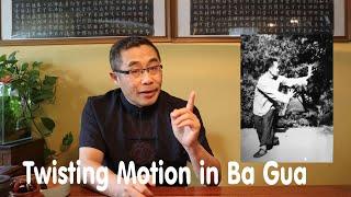 Hai Yang's Practice Proverb Series (51): Twisting Motion in Ba Gua