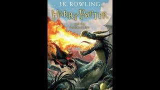 H. Potter and the goblet of fire 1/3 reupl