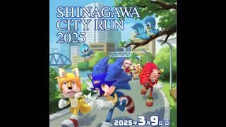 【タイムワイプ】ソニックがしながわシティランの応援サポーターに！ #ソニック #sonic #sonicthehedgehog #shinazugawa #timewarpscan