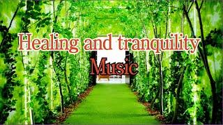 music that calms one's heart Healing music (Bb T59 2) 5 hours