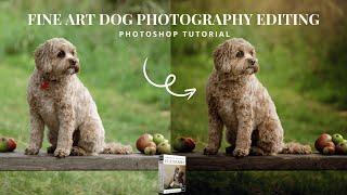 Editing fine art dog photography in Photoshop using the Fur Babies Photoshop Actions by LSP Actions